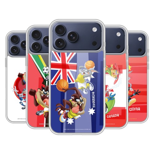 Official looney tunes flag - official,